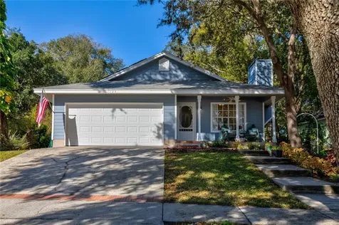 1125 Lake Elsie Drive Tavares FL 32778