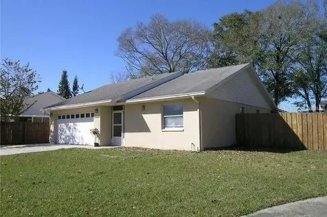 10924 Tailfeather Court Tampa FL 33625