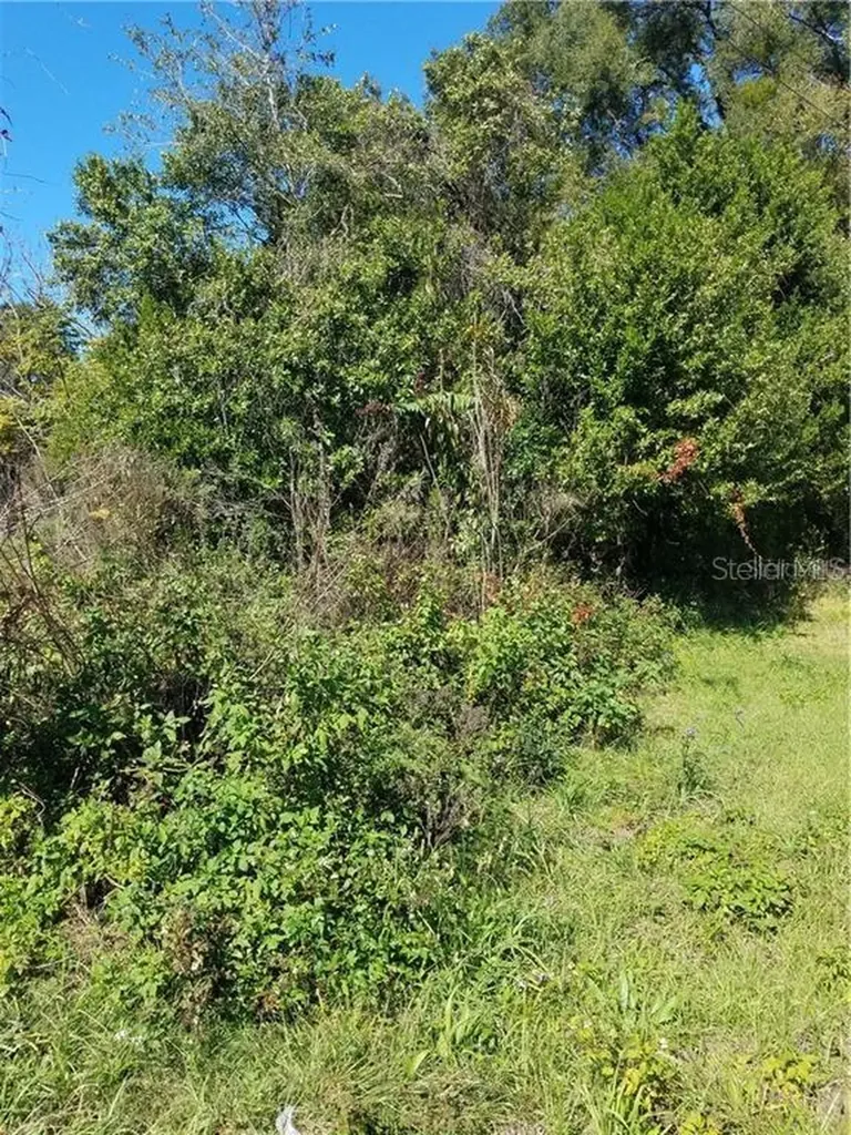 5 Lenox Court Deland FL 32720