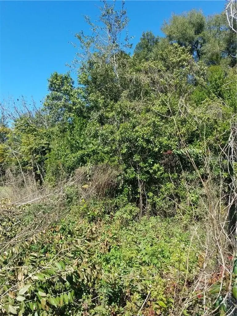 5 Lenox Court Deland FL 32720