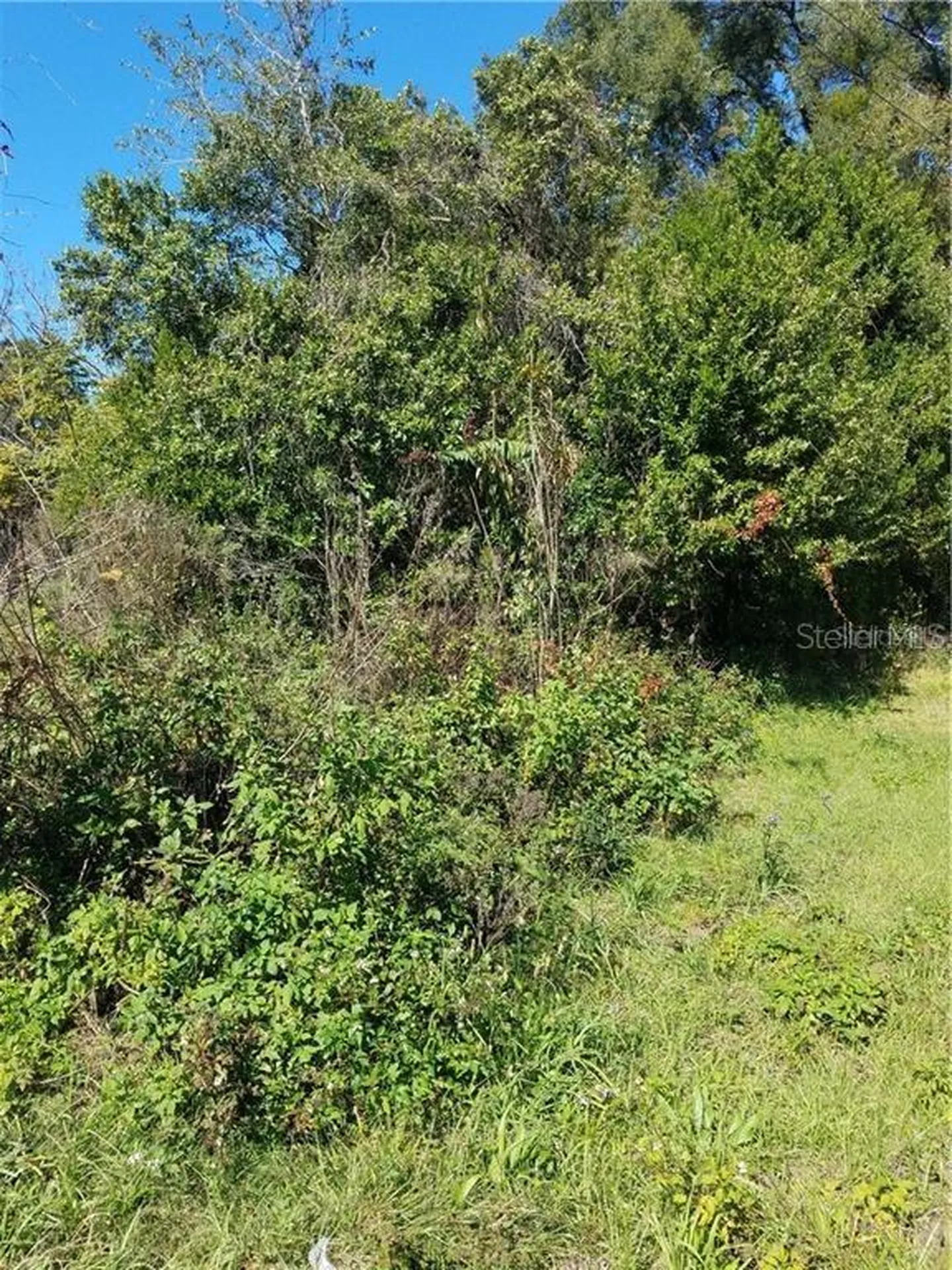 5 Lenox Court Deland FL 32720