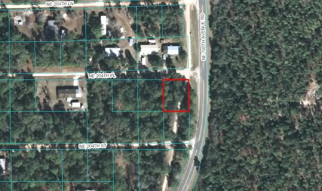 00 NE 204th Place Fort Mc Coy FL 32134