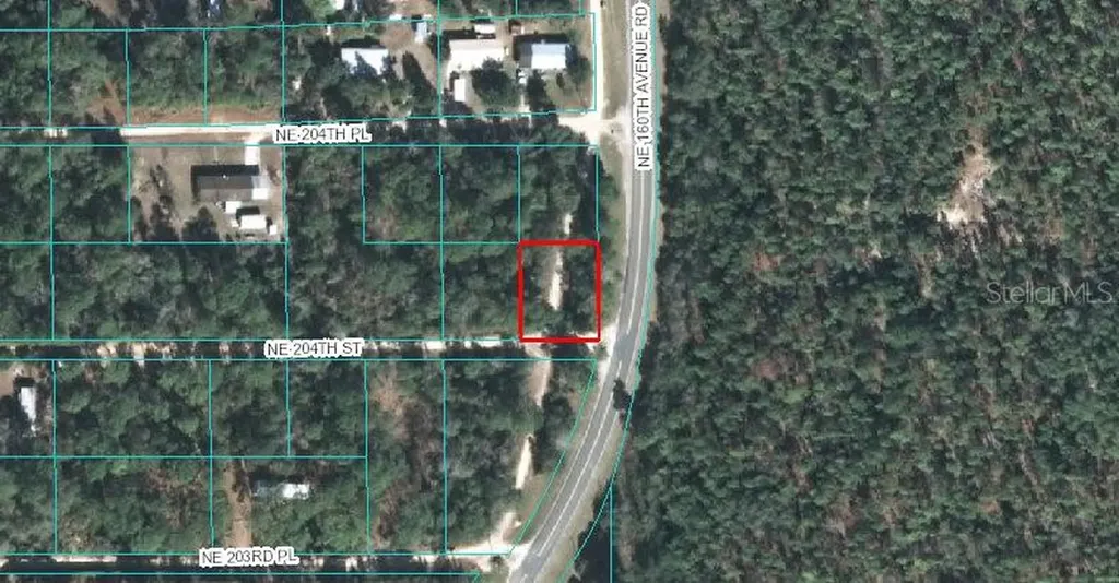 00 NE 204th Street Fort Mc Coy FL 32134