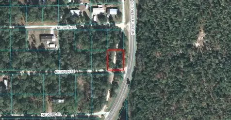 00 NE 204th Street Fort Mc Coy FL 32134
