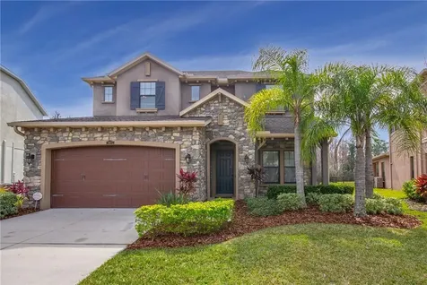 28872 Perilli Place Wesley Chapel FL 33543