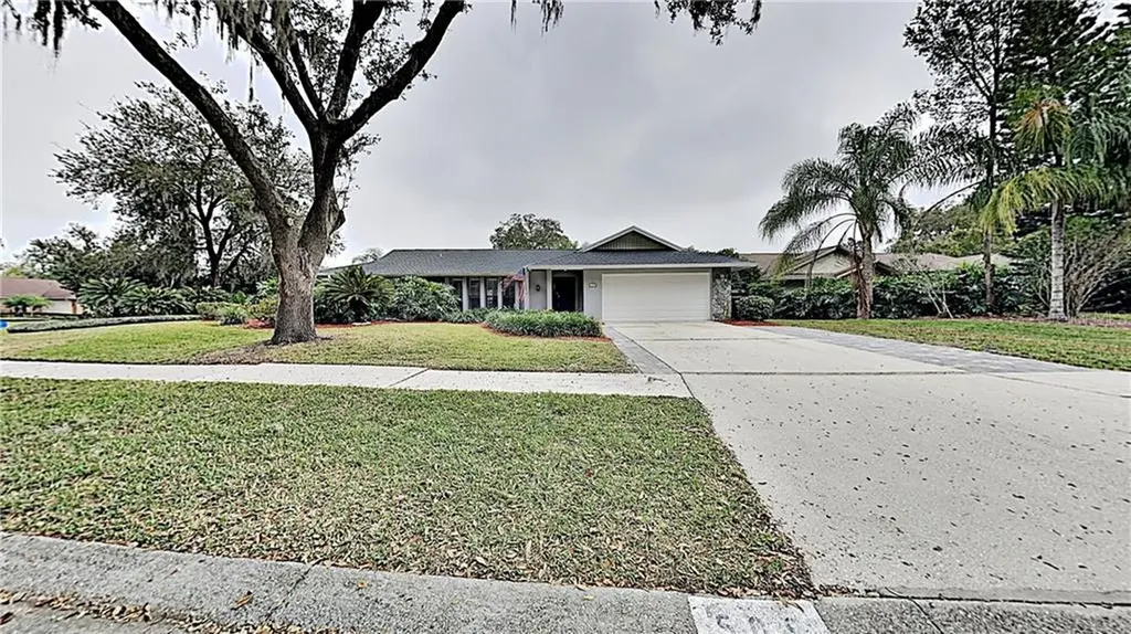 509 Sportsman Park Drive Seffner FL 33584