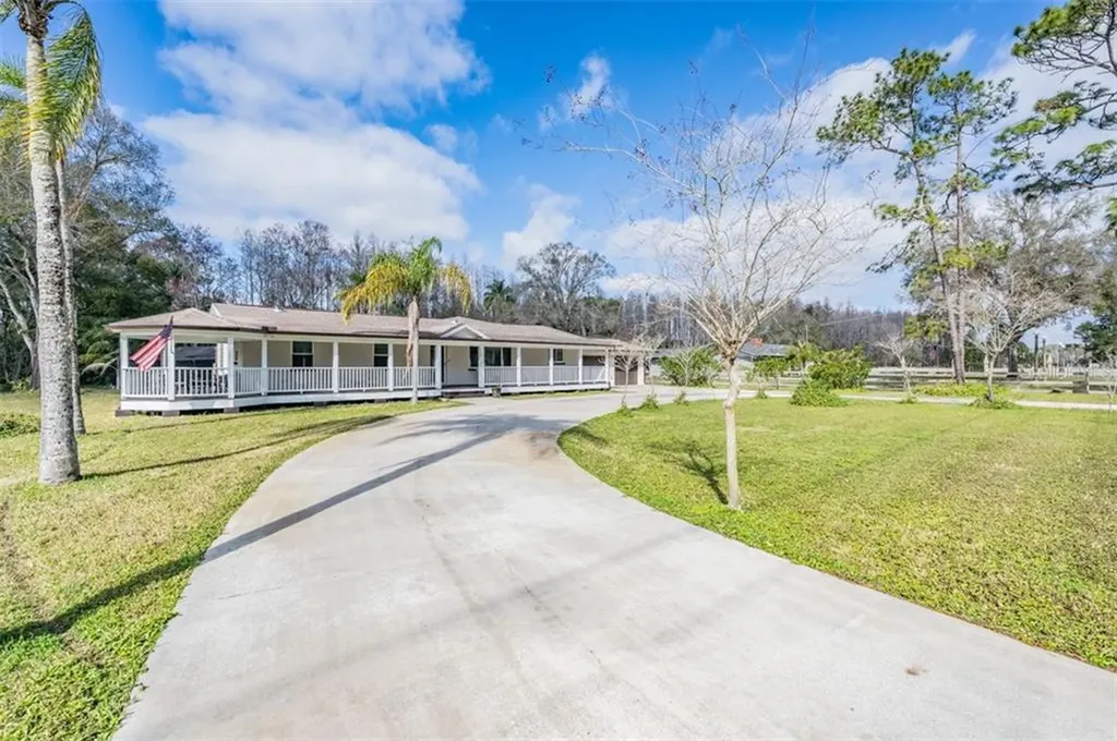 16912 Tobacco Road Lutz FL 33558