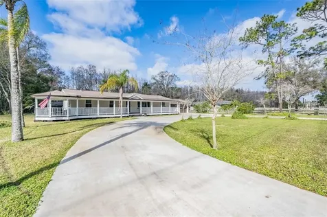16912 Tobacco Road Lutz FL 33558