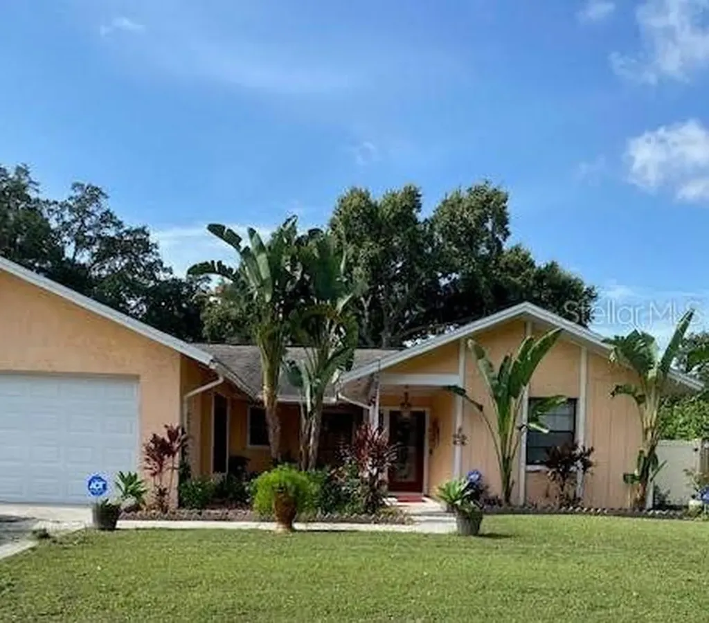 1617 Carter Oaks Drive Valrico FL 33596