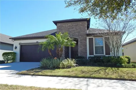 11361 American Holly Drive Riverview FL 33578