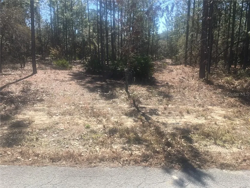 3 Speceberry Court E Homosassa FL 34446