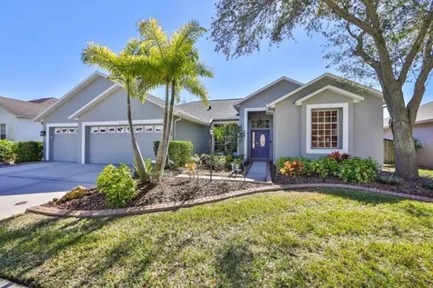 9211 Grand Palm Court Riverview FL 33578