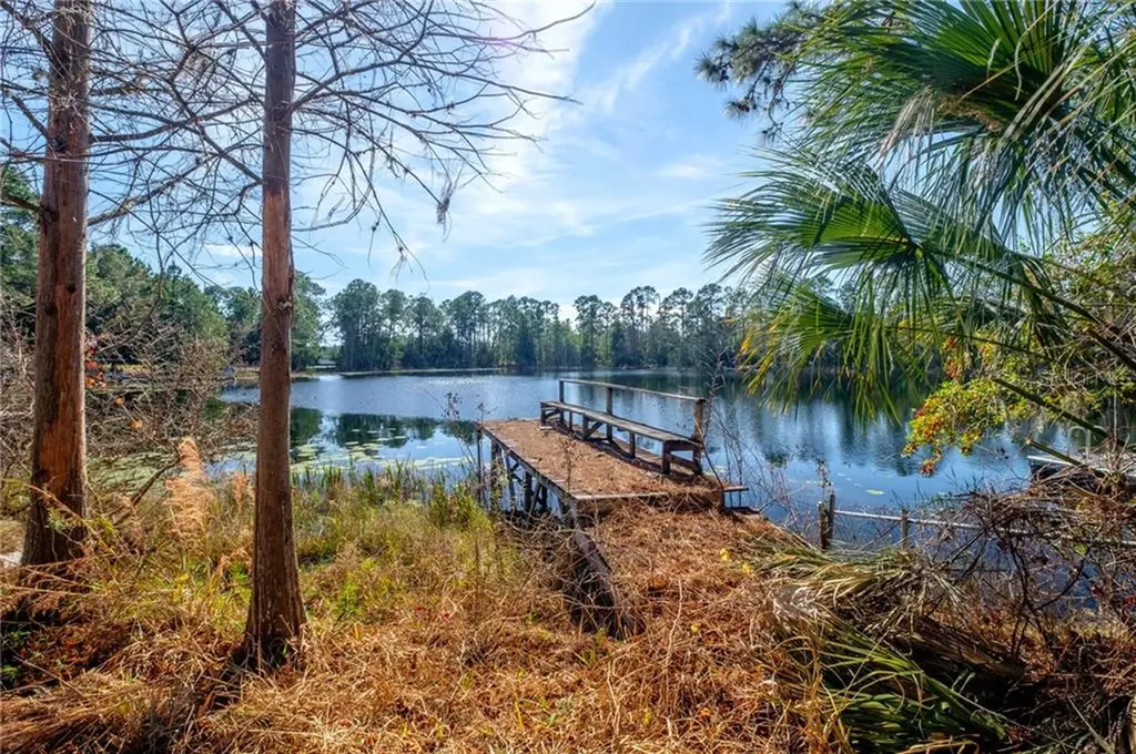 42331 Maggie Jones Road Paisley FL 32767
