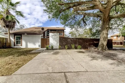 10312 Green Grove Place Tampa FL 33624