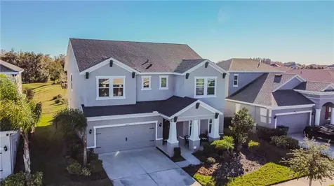 33294 Whisper Pointe Drive Wesley Chapel FL 33545