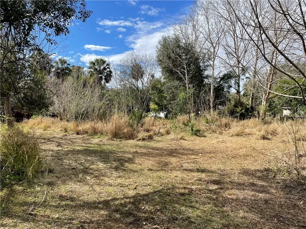 126 W Spring Street De Leon Springs FL 32130