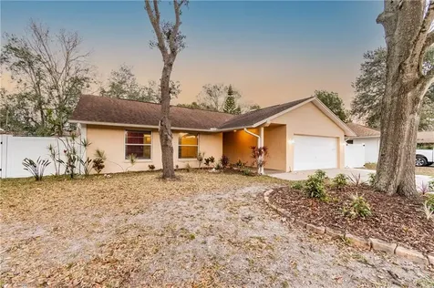 2617 Woodcote Terrace Palm Harbor FL 34685