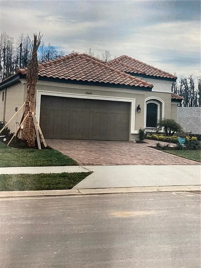 29450 Ginnetto Drive Wesley Chapel FL 33543