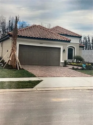 29450 Ginnetto Drive Wesley Chapel FL 33543