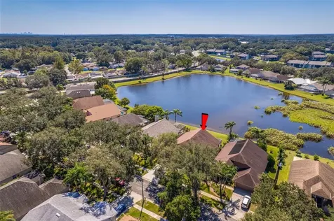 16603 Lake Heather Drive Tampa FL 33618