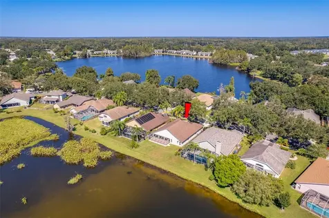 16603 Lake Heather Drive Tampa FL 33618
