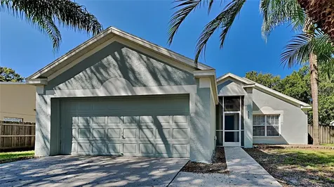 4605 Steel Dust Lane Lutz FL 33559