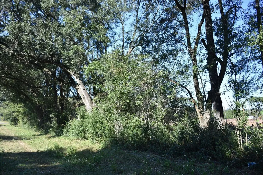 000 SW Cr 241 Archer FL 32618