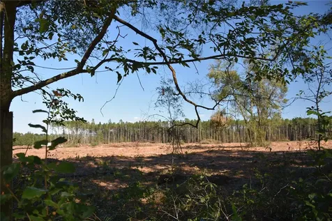 000 SW Cr 241 Archer FL 32618