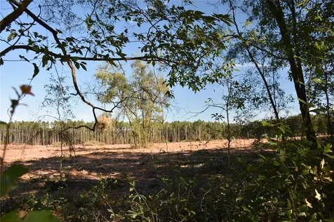 000 SW Cr 241 Archer FL 32618
