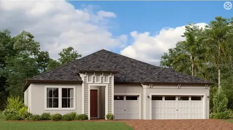 21352 Snowy Orchid Terrace Land O Lakes FL 34637