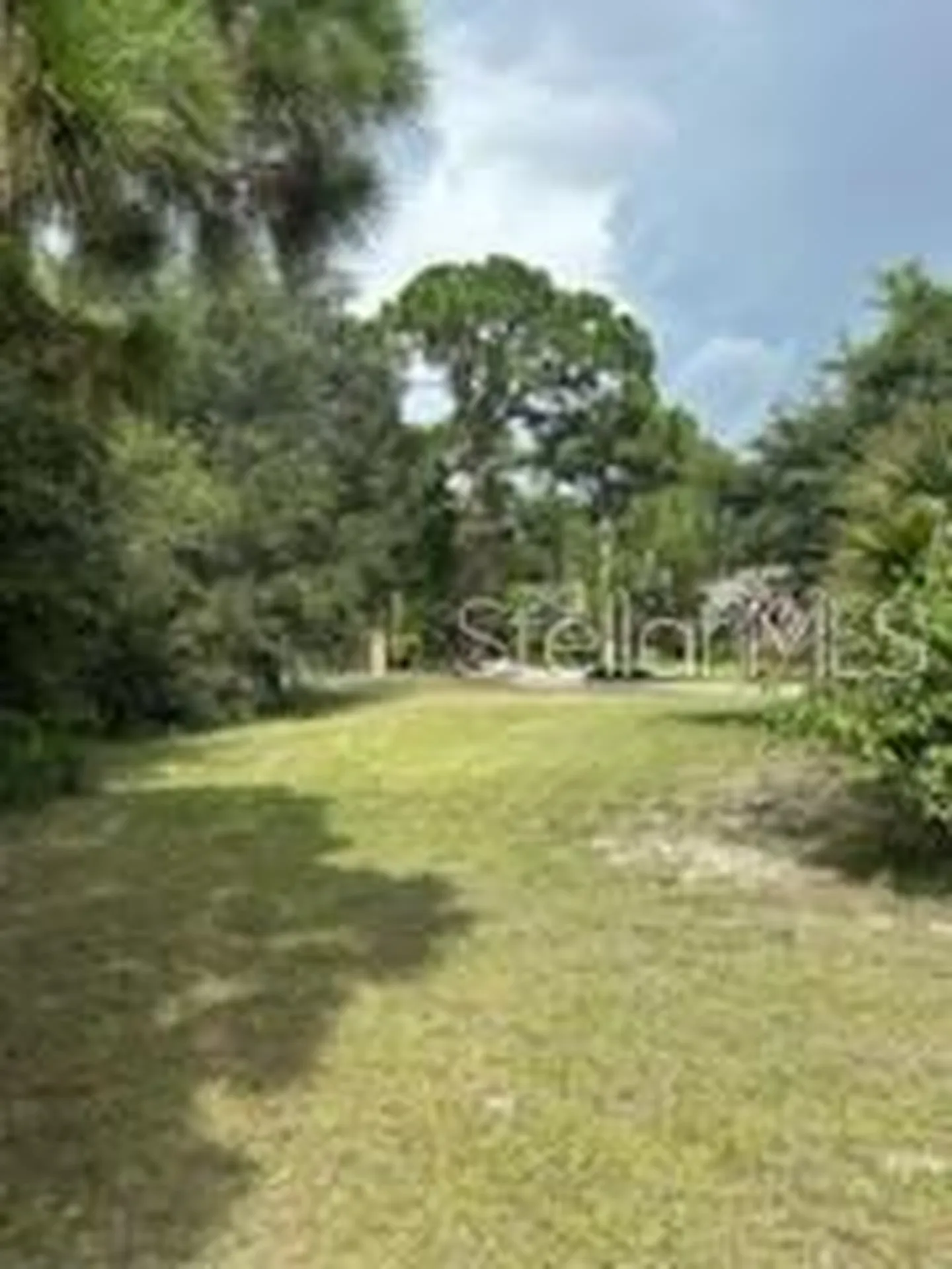 3910 Dunn Drive Sarasota FL 34233