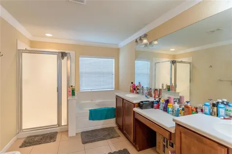 4151 SW 46th Court Ocala FL 34474