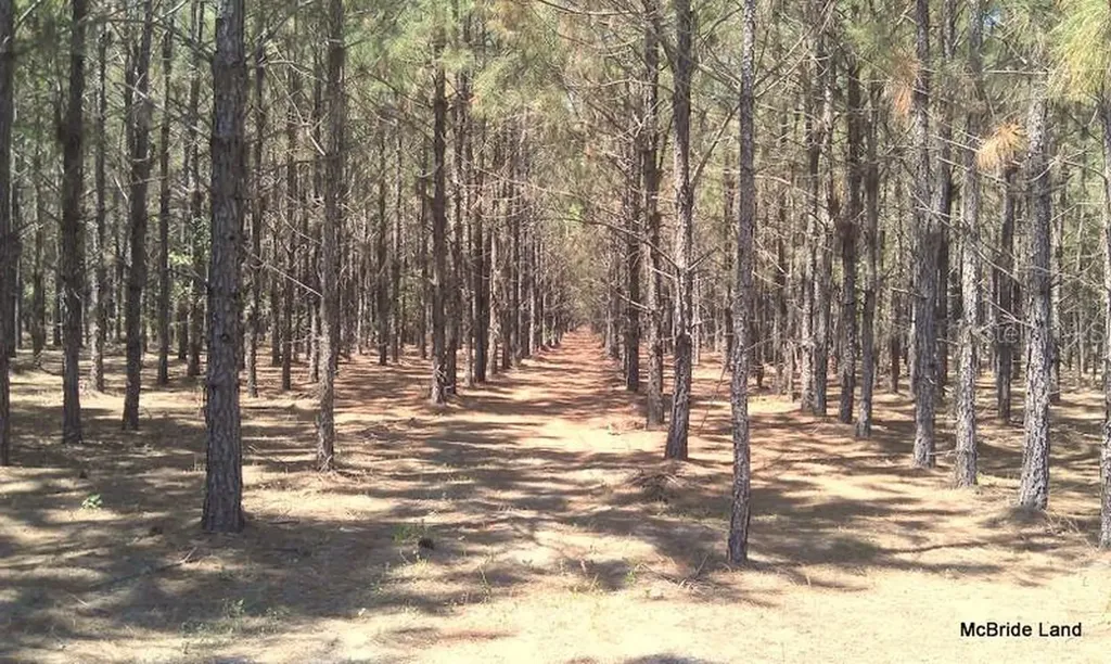 17001 SW Highway 484 Dunnellon FL 34432