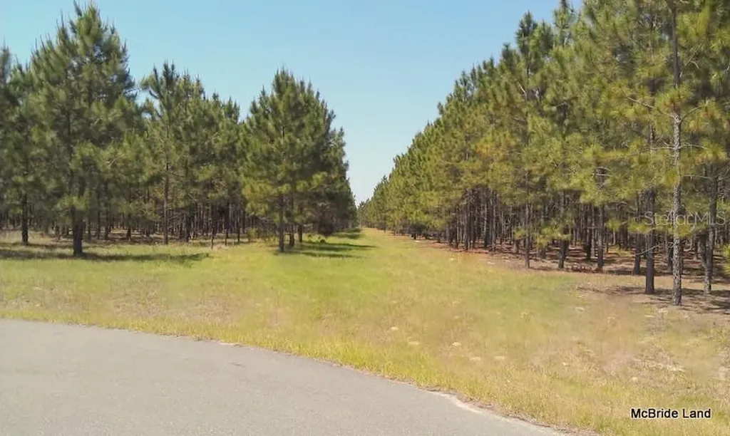 17001 SW Highway 484 Dunnellon FL 34432