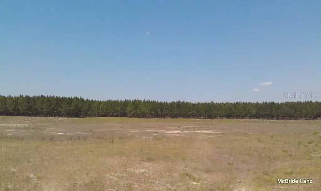 17001 SW Highway 484 Dunnellon FL 34432