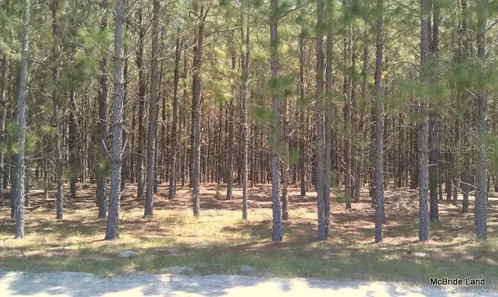 17001 SW Highway 484 Dunnellon FL 34432