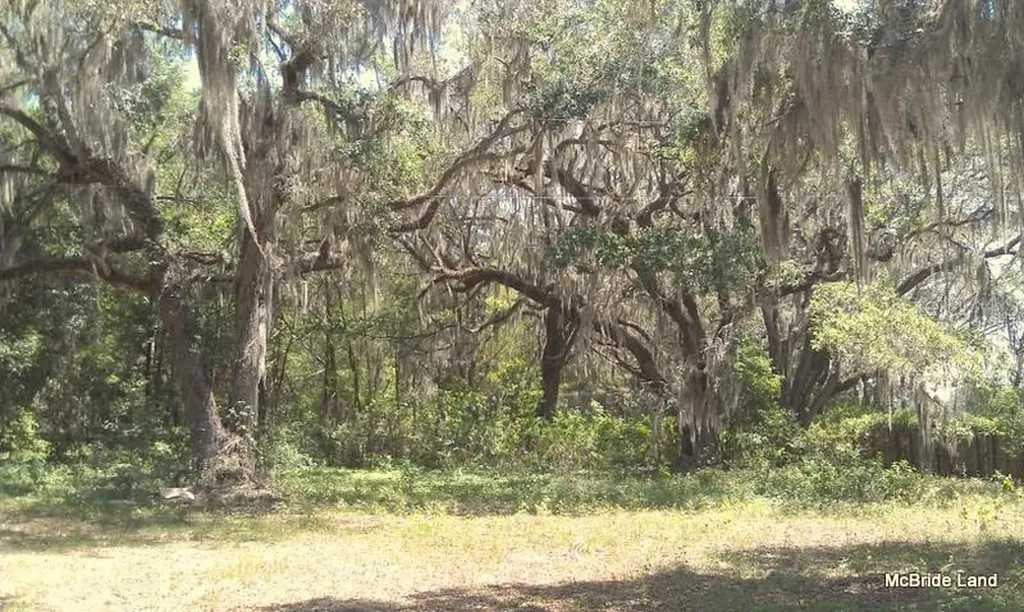 17001 SW Highway 484 Dunnellon FL 34432