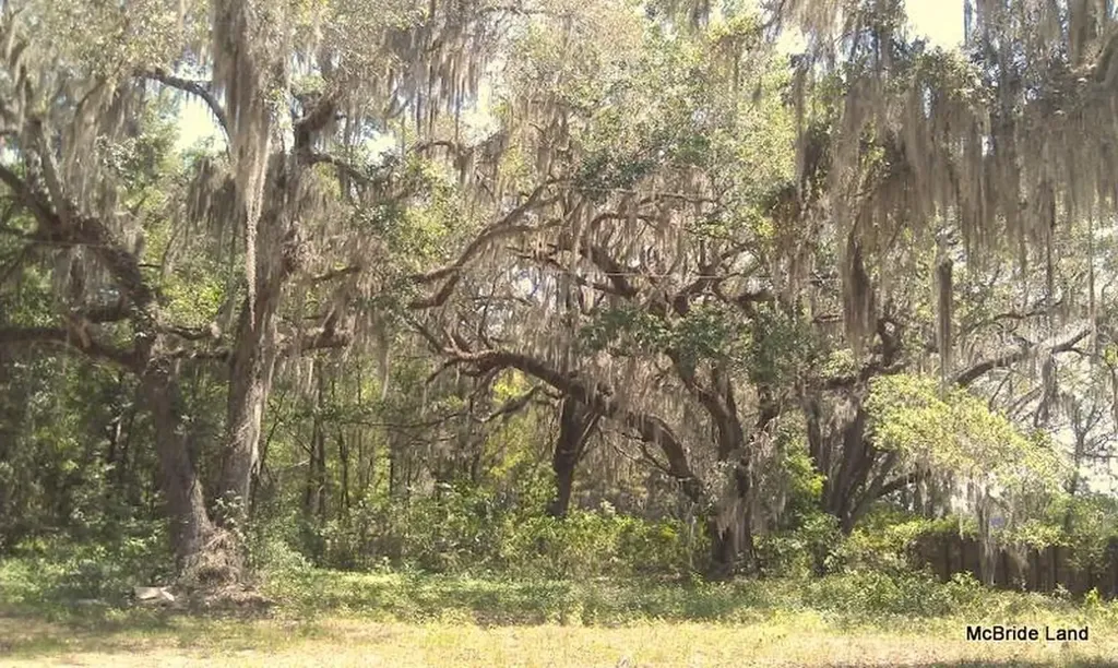 17001 SW Highway 484 Dunnellon FL 34432