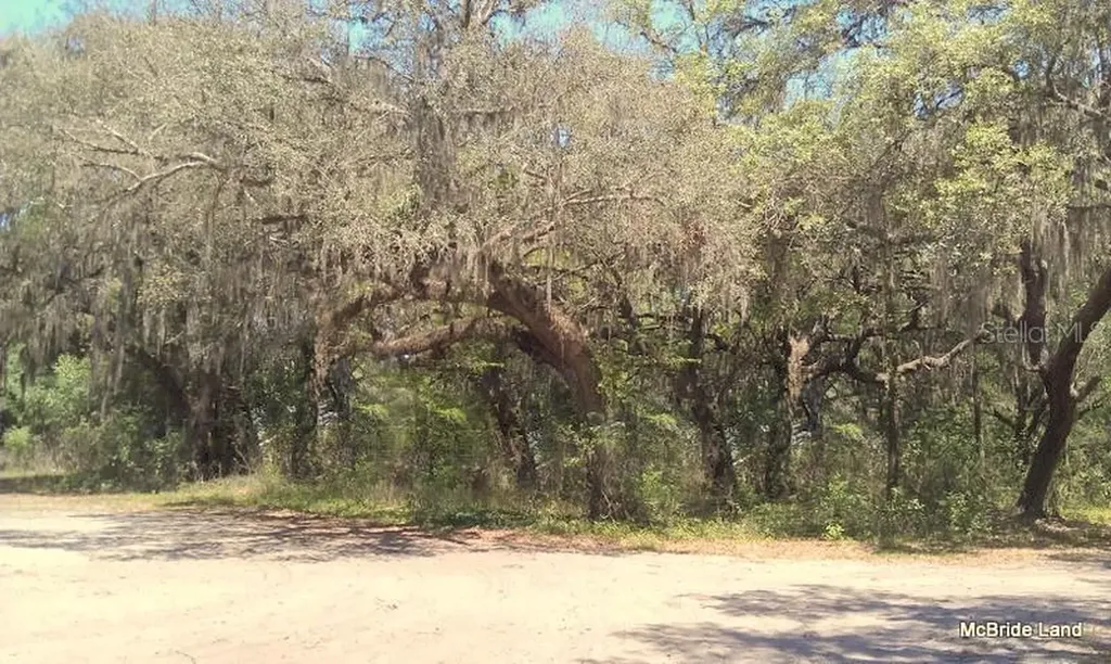 17001 SW Highway 484 Dunnellon FL 34432