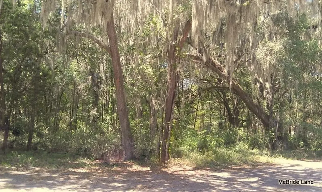 17001 SW Highway 484 Dunnellon FL 34432
