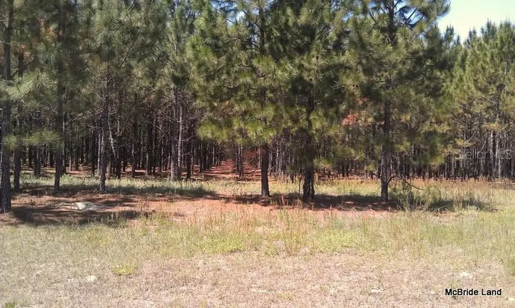 17001 SW Highway 484 Dunnellon FL 34432