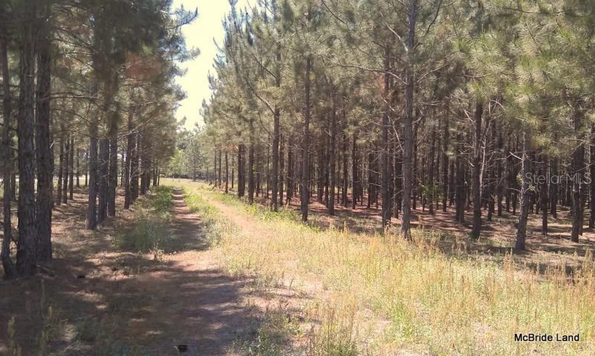 17001 SW Highway 484 Dunnellon FL 34432