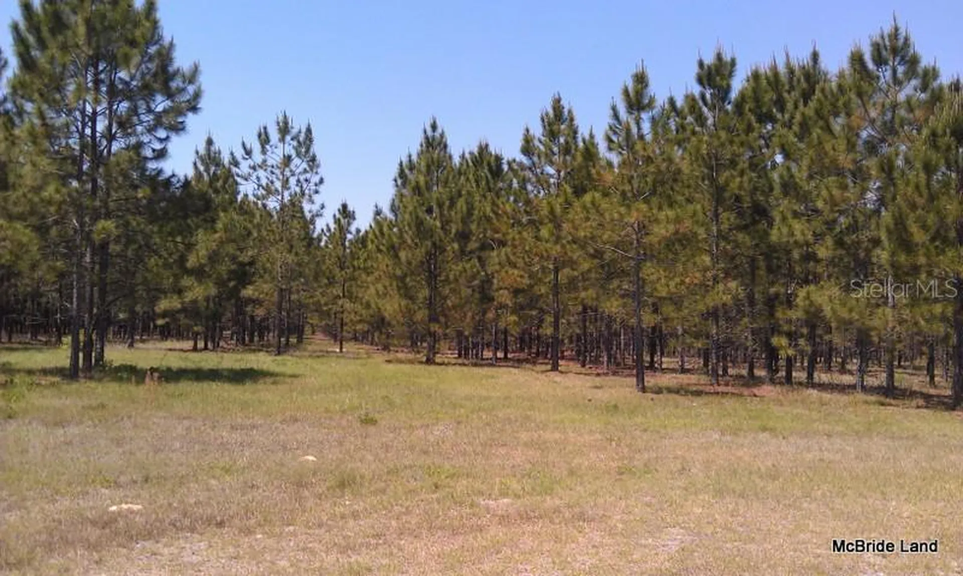 17001 SW Highway 484 Dunnellon FL 34432