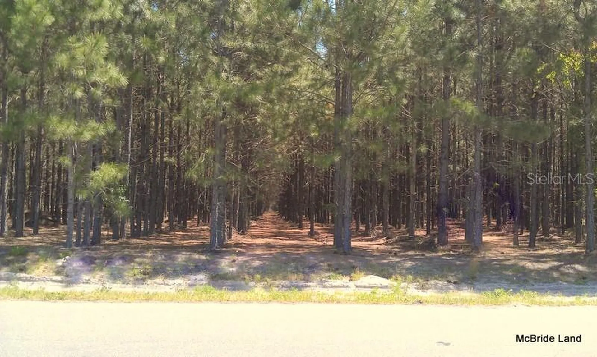 17001 SW Highway 484 Dunnellon FL 34432