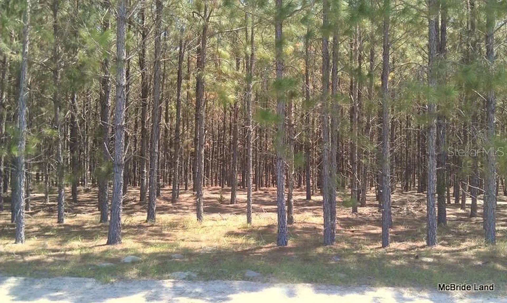 17001 SW Highway 484 Dunnellon FL 34432