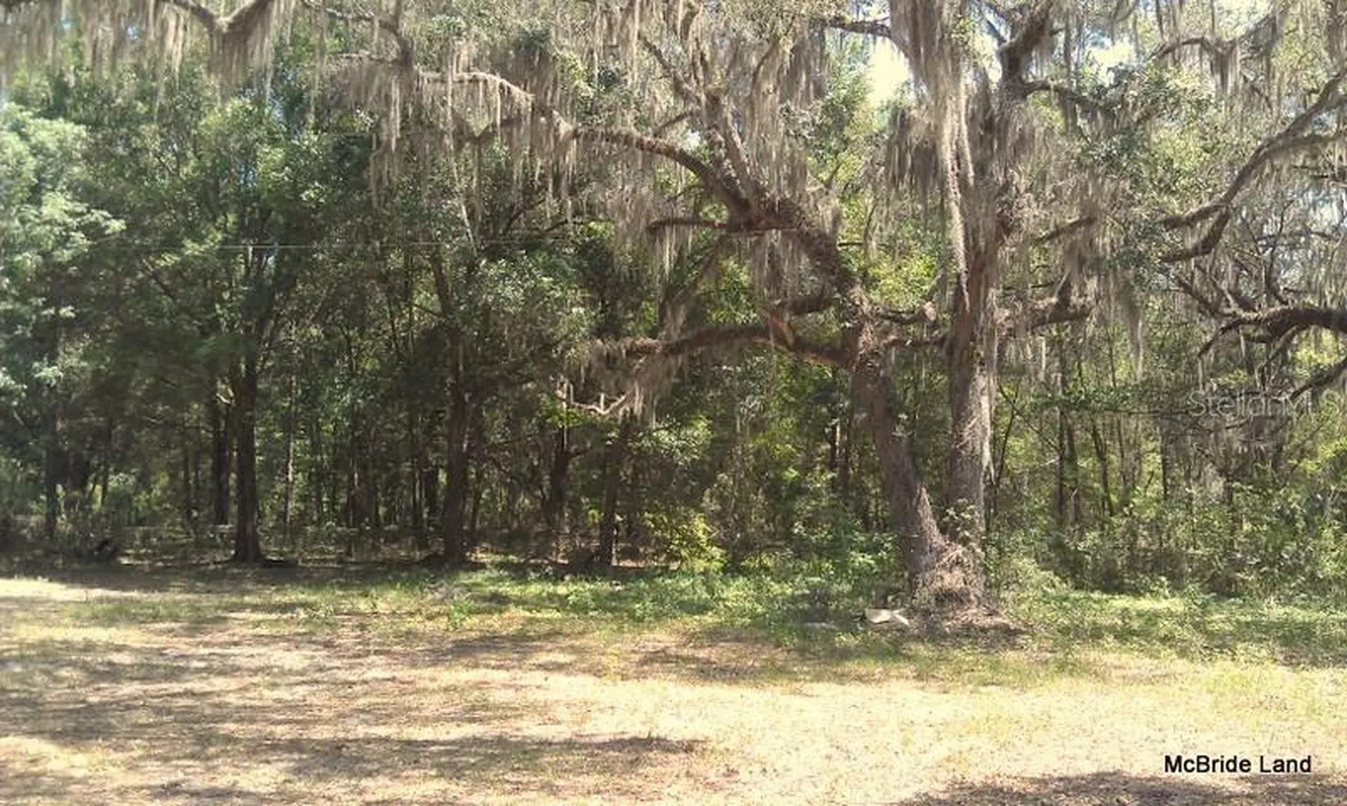 17001 SW Highway 484 Dunnellon FL 34432
