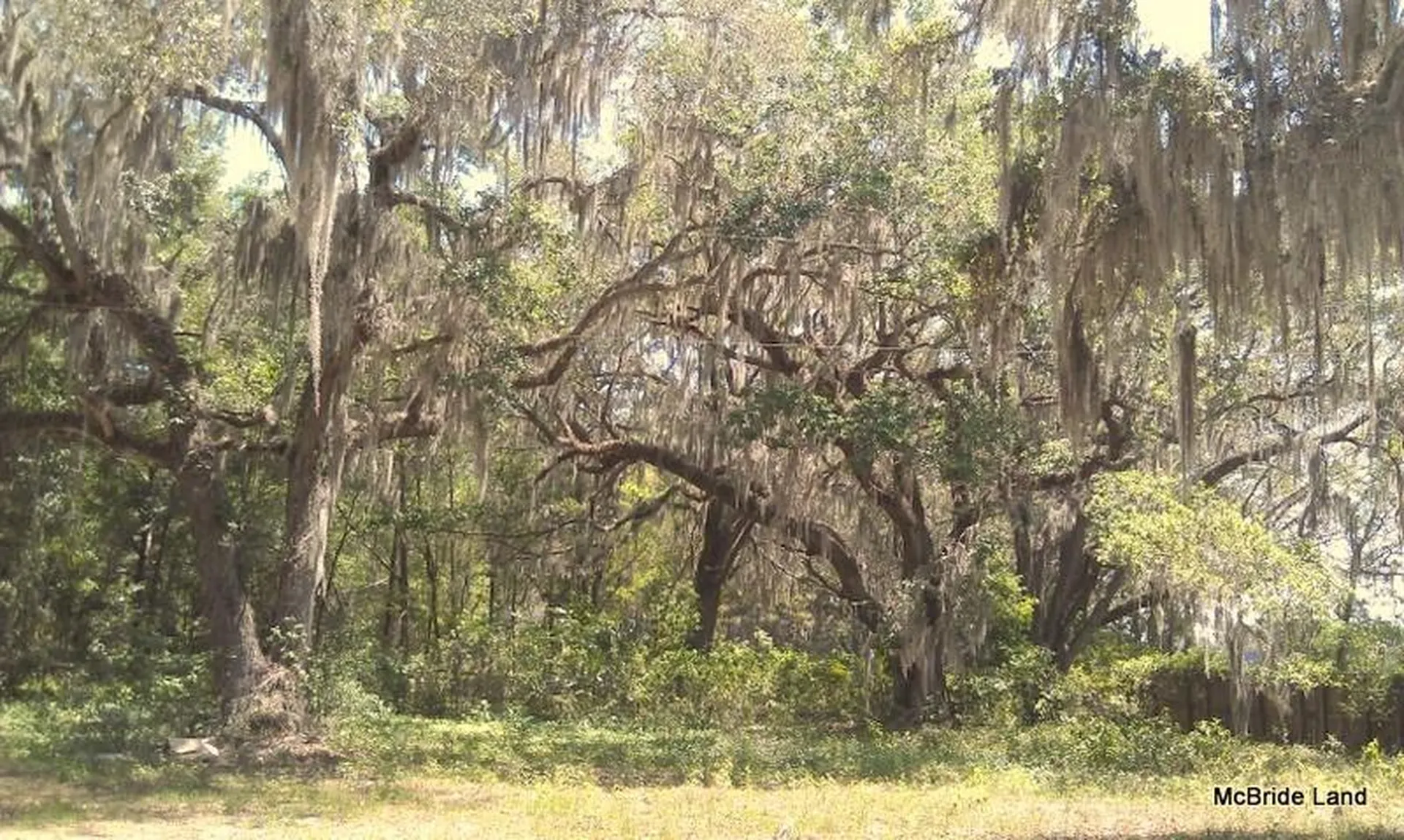 17001 SW Highway 484 Dunnellon FL 34432