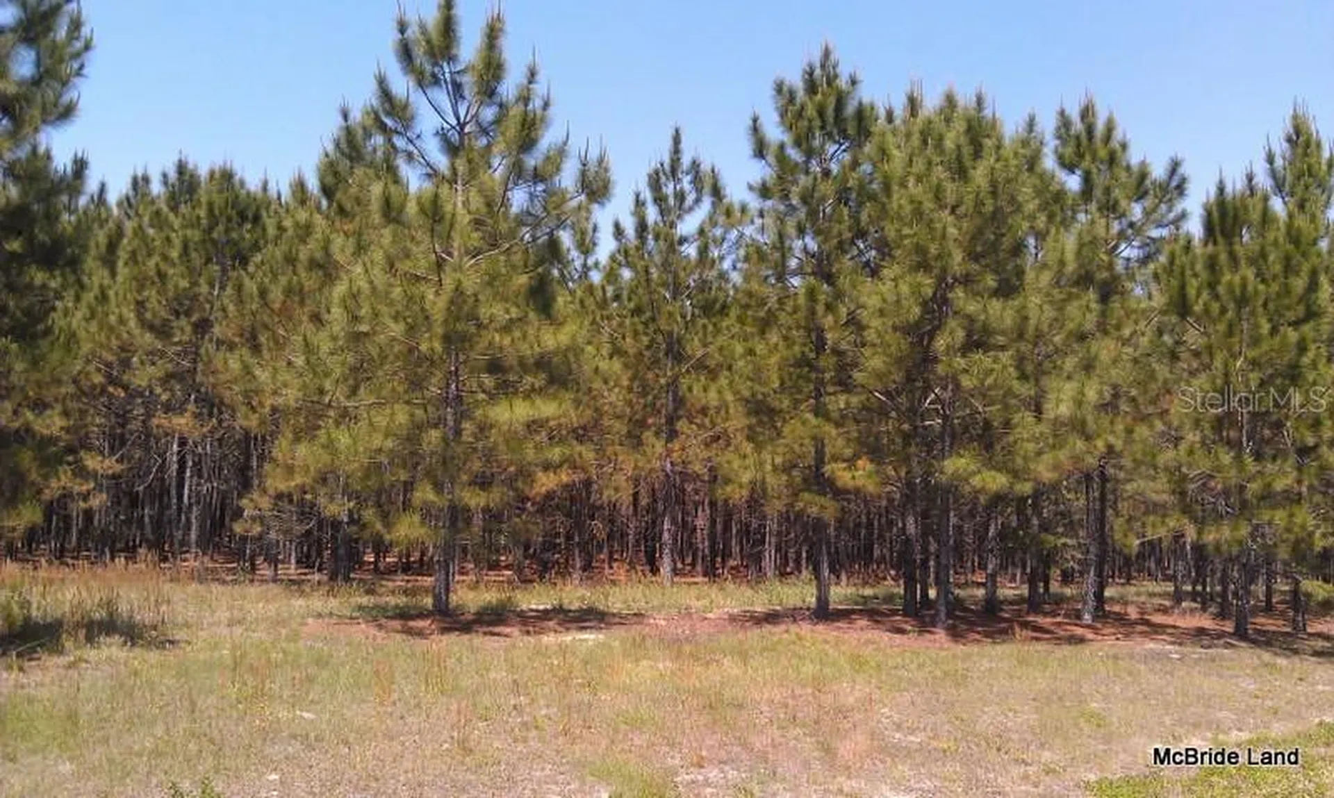 17001 SW Highway 484 Dunnellon FL 34432
