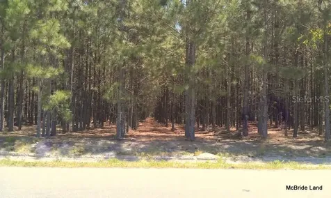 17001 SW Highway 484 Dunnellon FL 34432