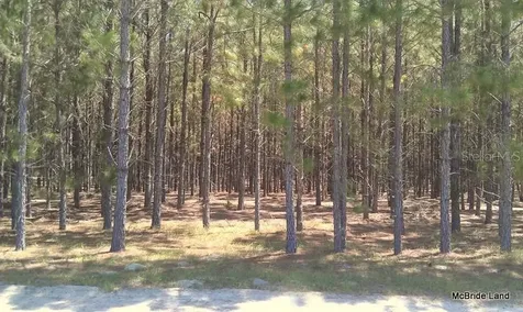 17001 SW Highway 484 Dunnellon FL 34432